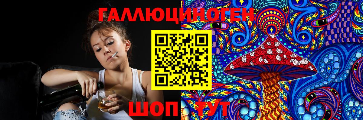 Галлюциногенные грибы Psilocybine cubensis Лыткарино