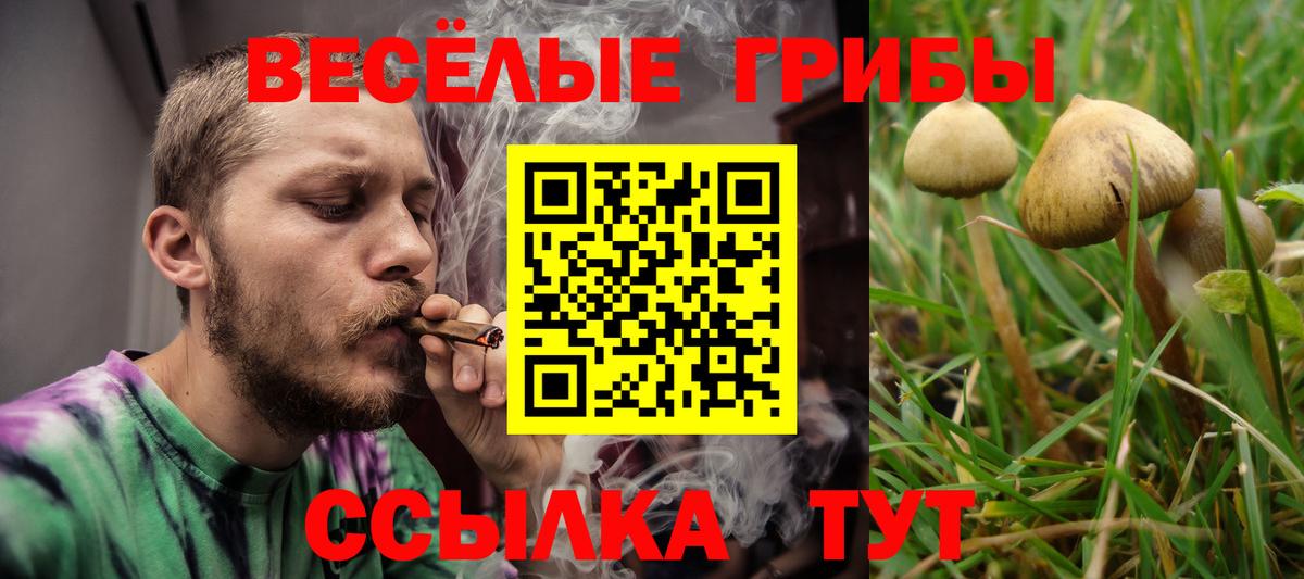 Лыткарино  Галлюциногенные грибы Psilocybe  Галлюциногенные грибы Cubensis  Вход с VPN 